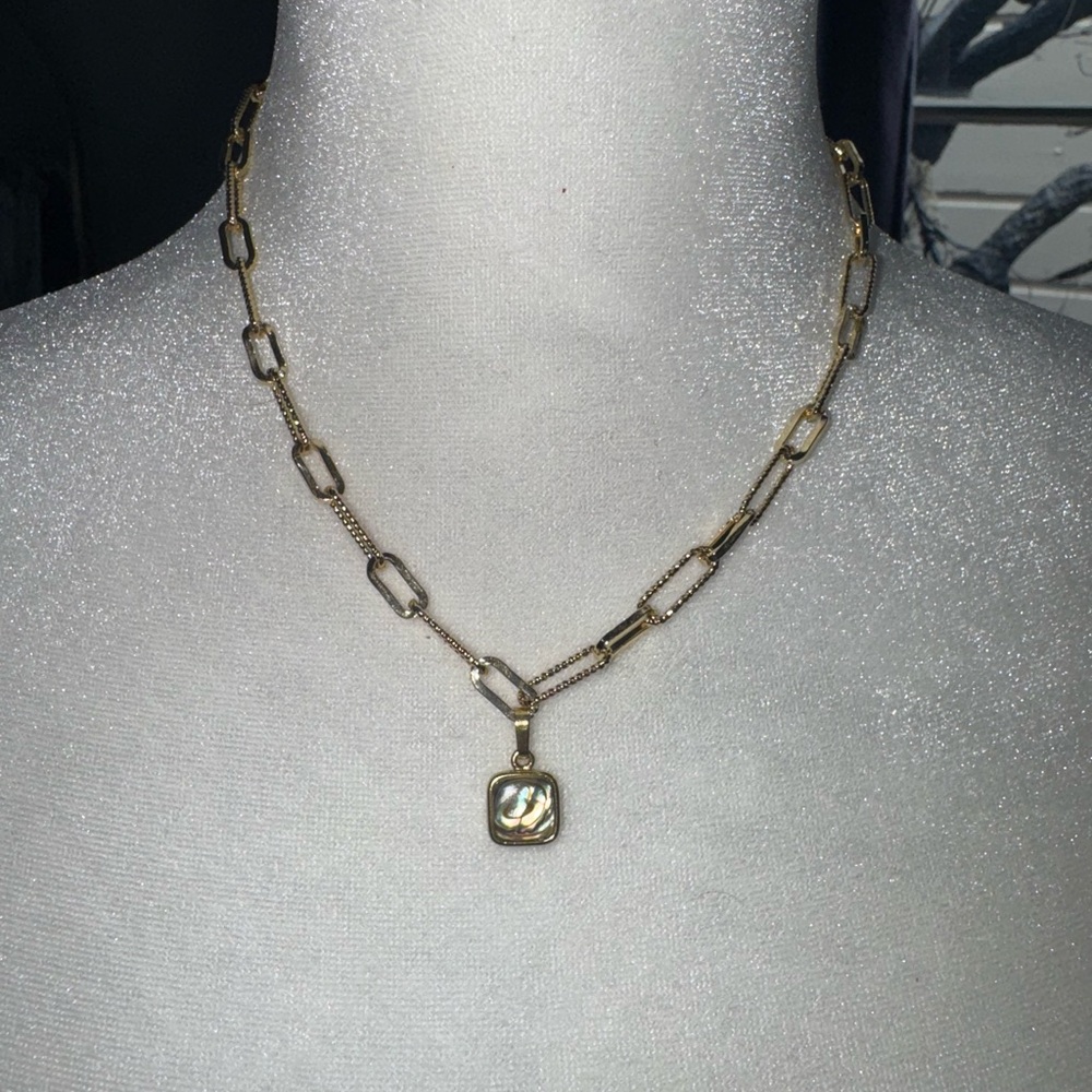 Albalone Shell Gold Chain Necklace
